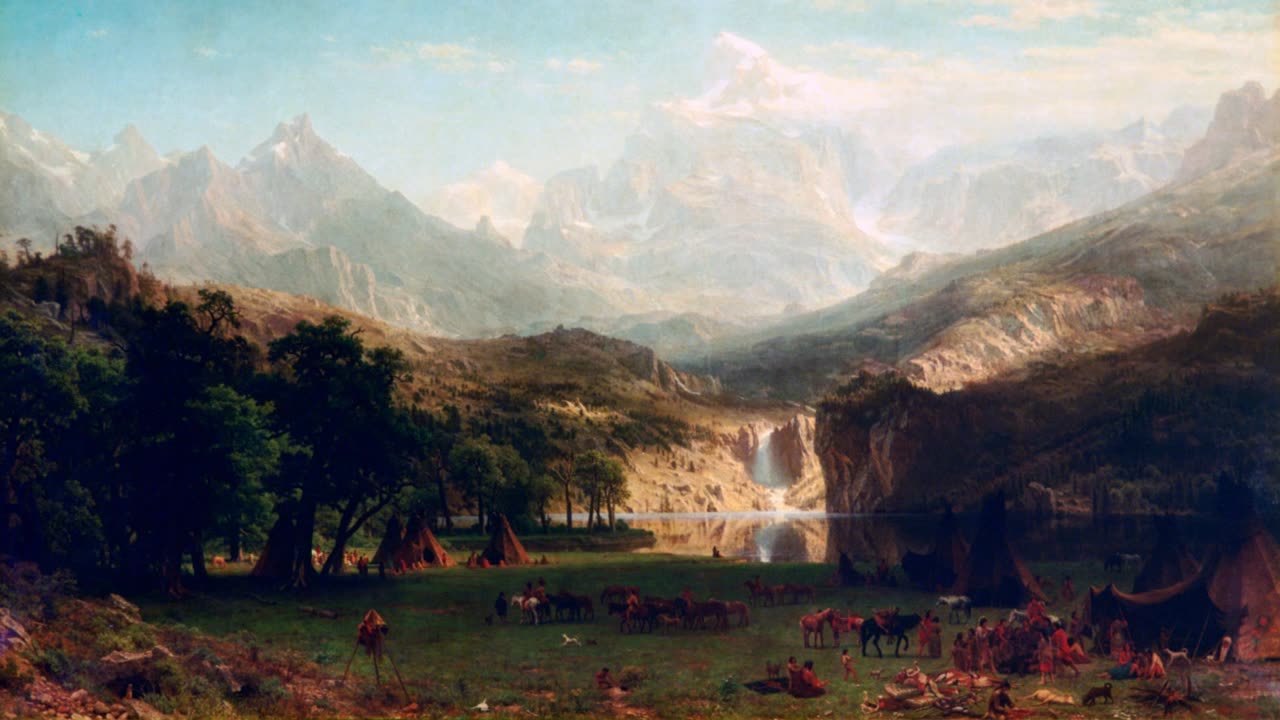 Have Focus 🔍 Herbal/Plant Frequency 🌺 396hz 💫 Mozart 🎶