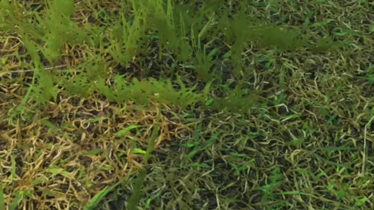 A Reverse DayZ Robbery
