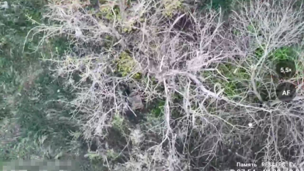 THE BATTLE FOR OTRADNOE HAS BEGUN