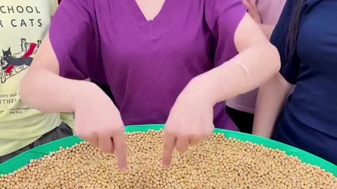 Soybean Scoop Chaos 😂 | Office LOLs 🤪#OfficeGames #OfficeComedy #VibeBooster #ScoopChallenge