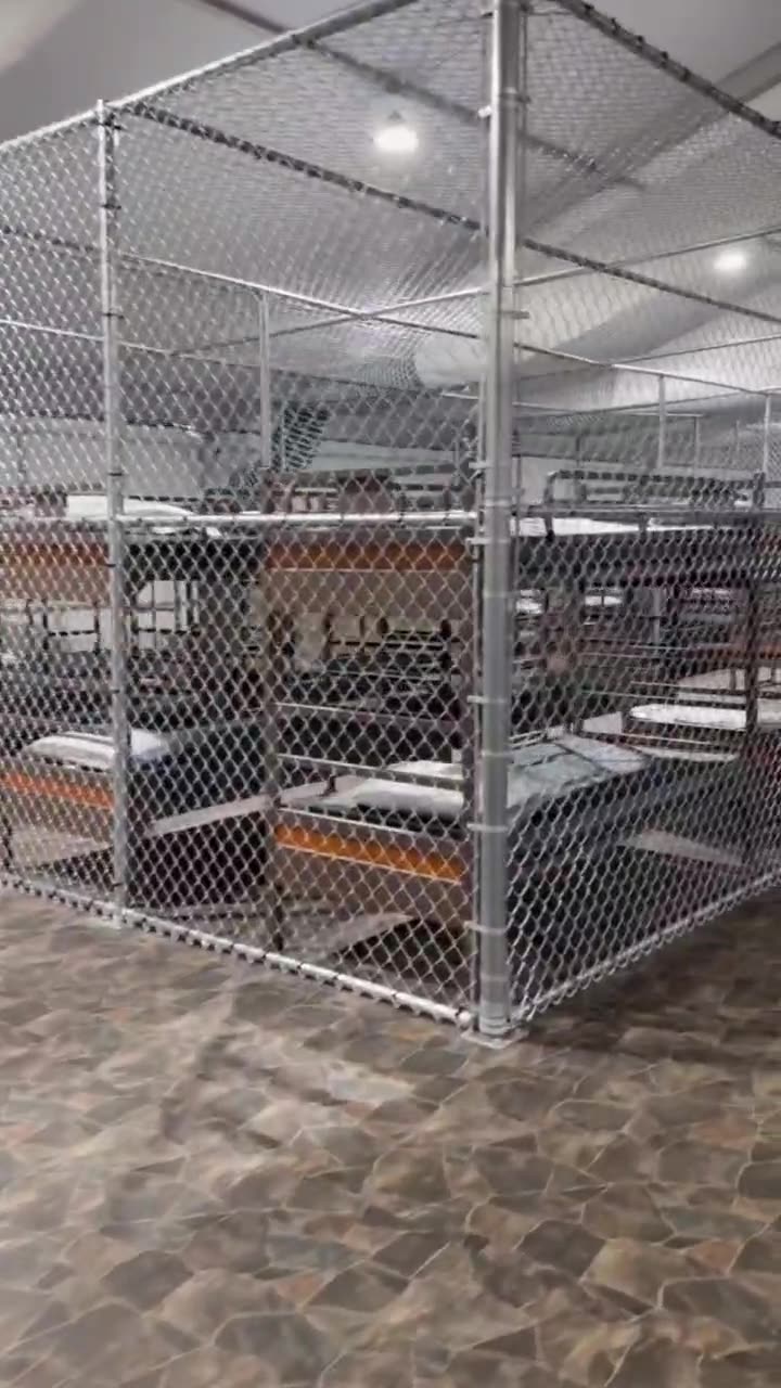 Inside Alligator Alcatraz