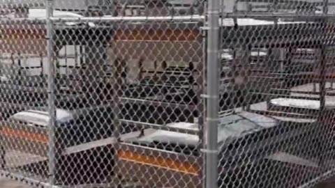 Inside Alligator Alcatraz