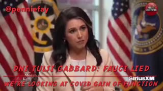 CIVILIAN Tulsi & Now DNI Tulsi Gabbard: Fauci Lied & Gain of Function