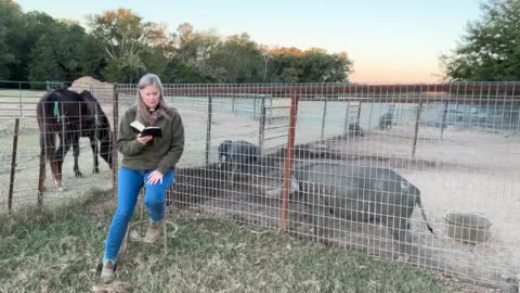 Morning Office, Daily Prayer