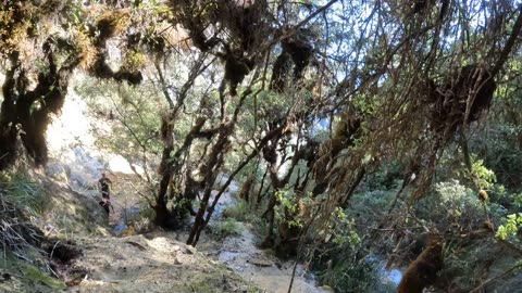 Llegando arriba en Qellu Yaku #andes #mountains #adventure