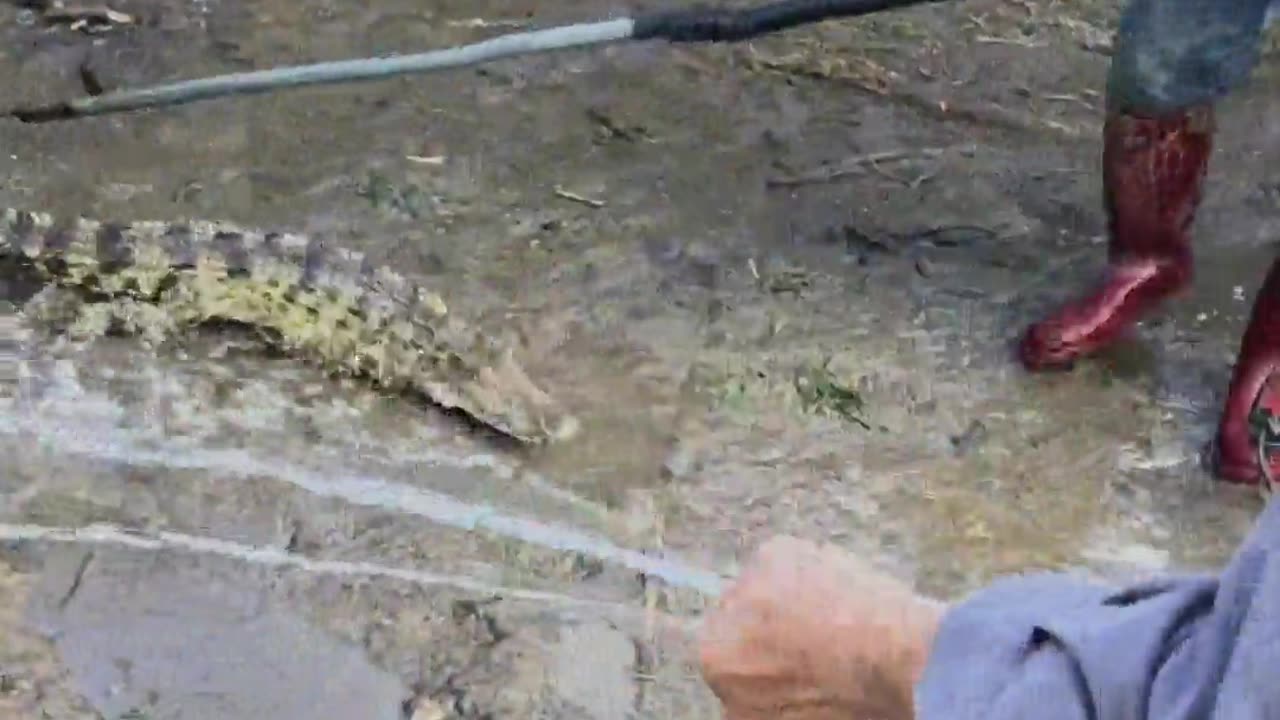 Oh, what a magical hook