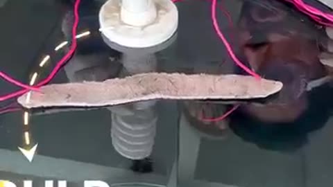 Amazing: Electricity Vs Sodium I Science Experiment #scienceandfun #ashughai #ex