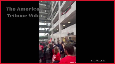Leftist Mob Storms Senate Building, Wreaks Havoc While Trying to Pressure Legislators