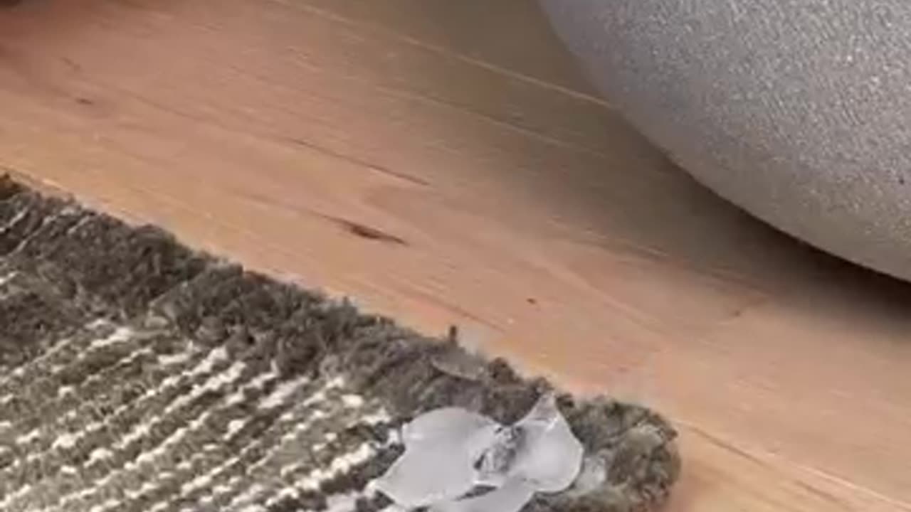 Old Carpet hack