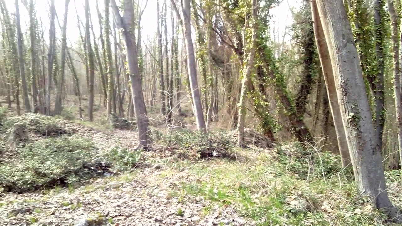 Златни Аладжа