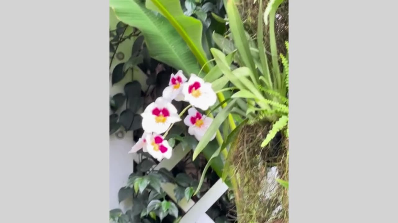 Highlights National Botanic Gardens