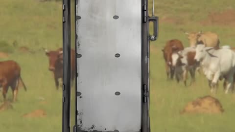 Superior Standard Slide Gate