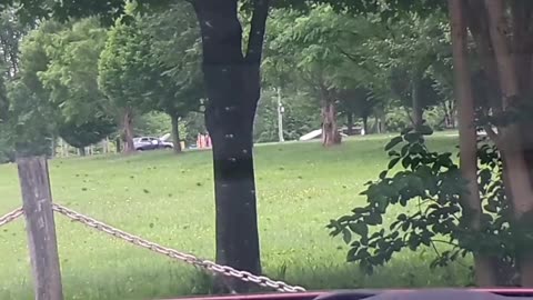 GANGSTALKING SIMULATION