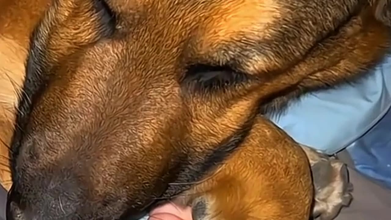 He's absolutely happy