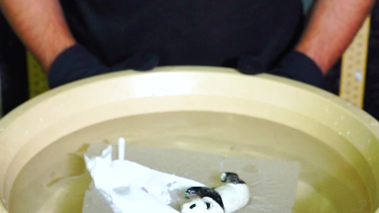 Everyone Gets It Wrong… How Many Tissues Did It Take? #satisfying #watertub #tube #asmr #experiment