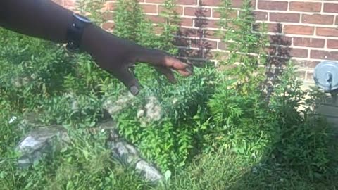 this home belongs to our investor in australia,