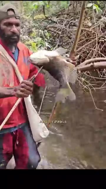 Amazing Fish Archery Skill You Won’t Believe This Shot! #shorts"