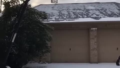 Freeze everything