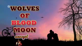 WBM00Nep-----239-40.mp4