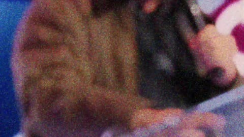 Quedó en evidencia una fuerte división dentro del movimiento conservador