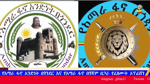 global fano media daily news
