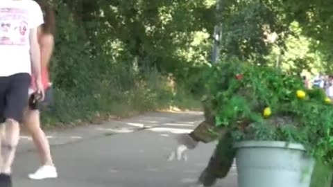Girl prank funny