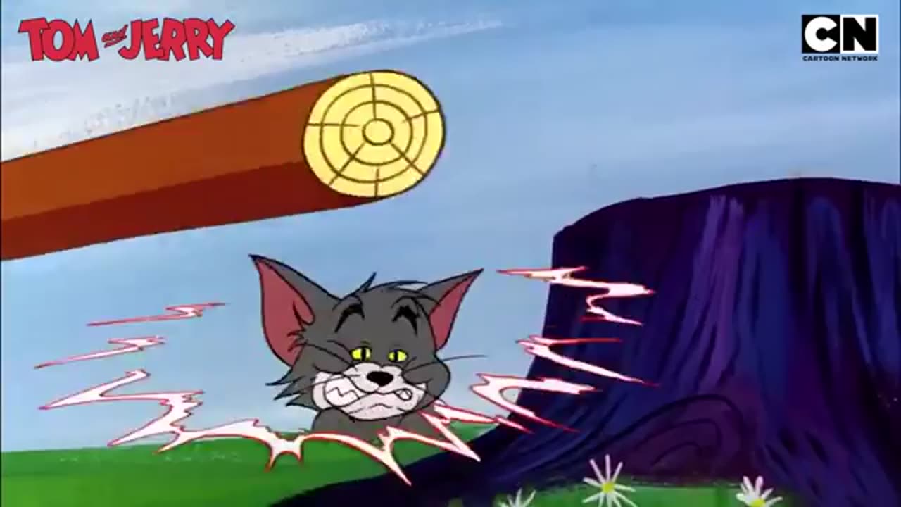 Tom & Jerry's fun fest!