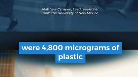 The Brain Of A Modern Human Is Turning Into A Plastic Waste Bin
