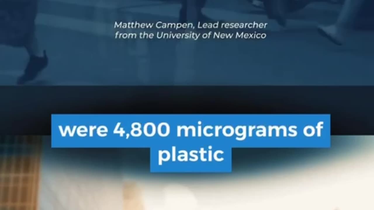 The Brain Of A Modern Human Is Turning Into A Plastic Waste Bin