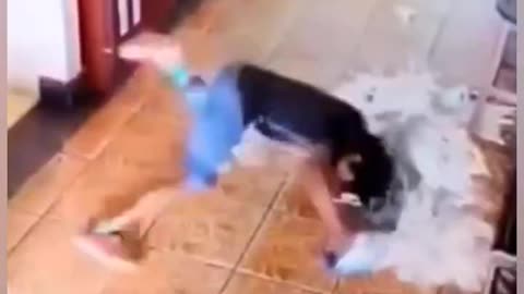 "Epic Fails That Will Make You Cry Laughing! 😂🤣💥"