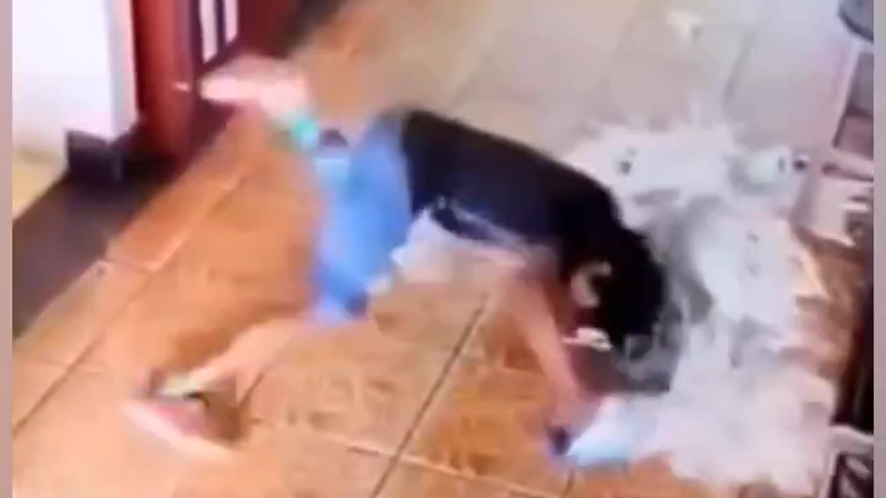 "Epic Fails That Will Make You Cry Laughing! 😂🤣💥"