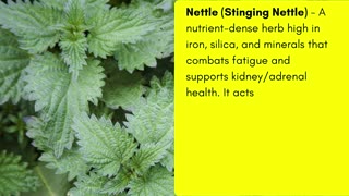 7 DR. SEBI ADAPTOGEN HERBS (Restore Balance)