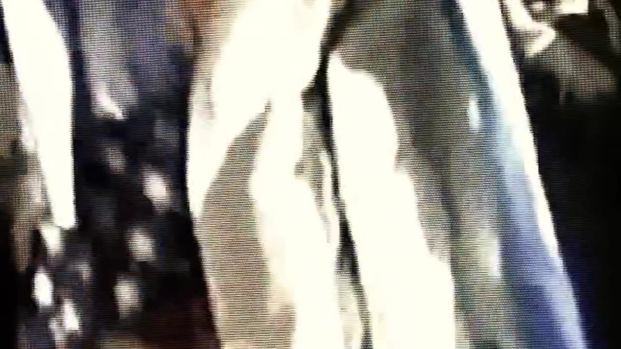 What does it mean when enemies openly declare their goal