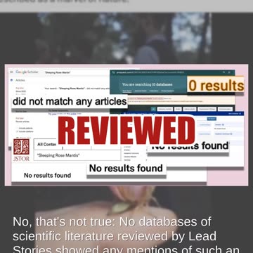 Fact Check: 'Sleeping Rose Mantis' Is NOT Real Insect