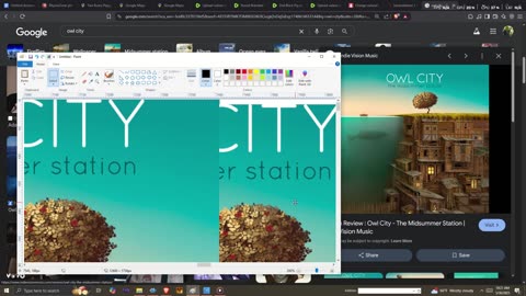 Owl City Wok