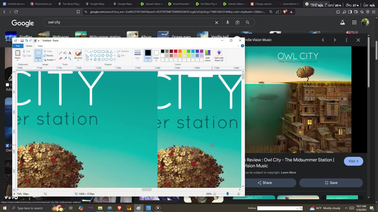 Owl City Wok