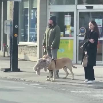 Sometimes all you need is your teddy bear.. 😊