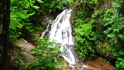 Bridal Veil Falls