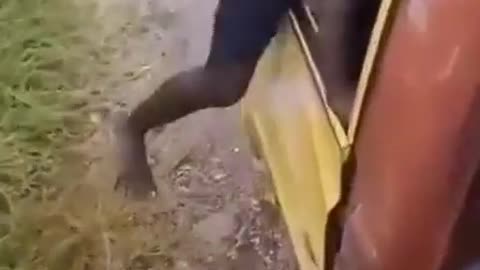 NIGGER TRUCKERS ON THE ROAD IN AFRICA