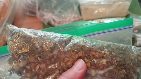 Vegan Backpacking food for HCLF, 80/10/10, medical medium, SOS, grain-free, salt free, fat free.