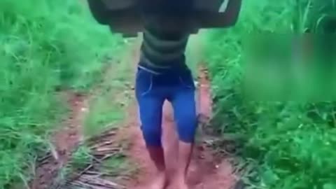 TRY NOT TO LAUGH 😆 Best Funny Videos Compilation 😂😁😆 Memes