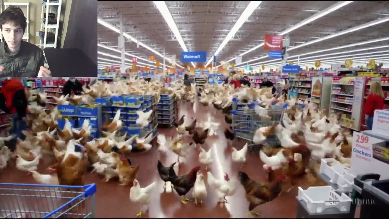 Over 100 Chickens Roam Around A Walmart Supercenter Fake Funny Parody Video With Live Commentary