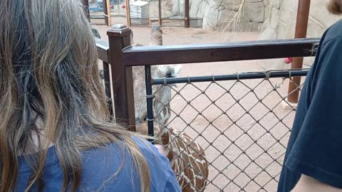Cheyenne Mountain Zoo Part 12