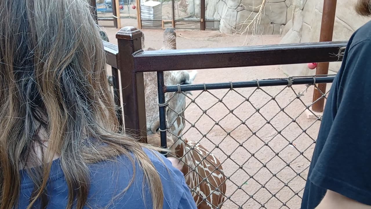 Cheyenne Mountain Zoo Part 12