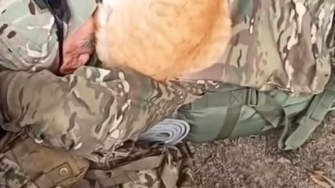 🐱🇺🇦 Ukraine Russia War | Ukrainian Soldier Nap with Cat | RCF