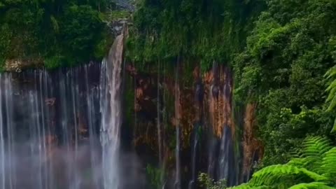 Beauty of Nature