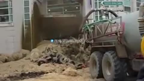 French farmers are spraying manure on Govt buildings