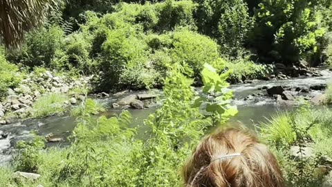 A Nature Walk