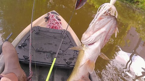 Bass Cam, slow fishing is still very relaxing