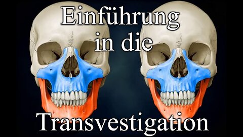 Grundlagen der Transvestigation